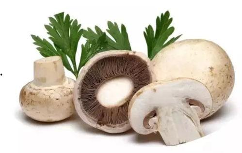 蘑菇视频吃瓜爆料,娱乐圈最新吃瓜大揭秘！